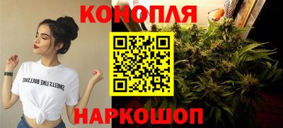 Альфа ПВП Кунгур