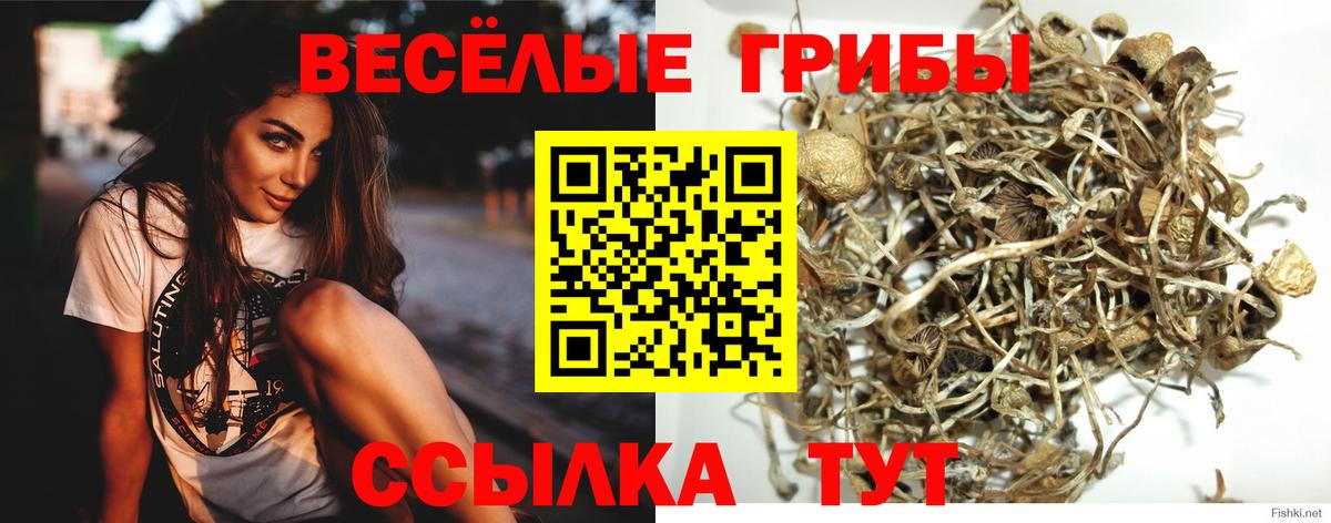 Кисловодск  Псилоцибиновые грибы GOLDEN TEACHER  Вход с VPN 