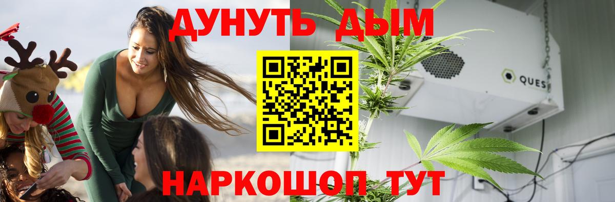 Марихуана Amnesia Кисловодск